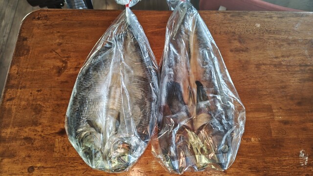 海鮮工房 増田水産 - 桂台（その他）の写真