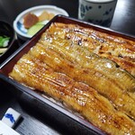 駒弥うなぎ料理 - 