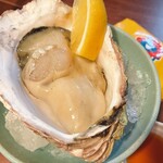 カメダバル Komaru - 山北の岩牡蠣