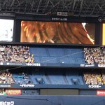 京セラドーム大阪 - 