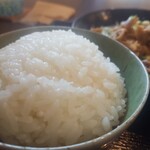 しょうが焼き 花緑青 - 