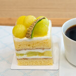 COCONCA MAISON by 후지이야 - 메론 쇼트케이크