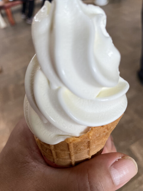 ノーザン ホースパーク（NORTHERN Horse Park） - 苫小牧市その他（その他）の写真