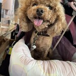 そば処 湧水 - 暑いねｗ