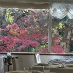 ミッシェル ナカジマ - 