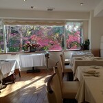 ミッシェル ナカジマ - 