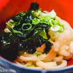 ヨコクラうどん - しょう油うどん