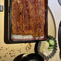 うなぎ 目白ぞろ芽 - 