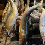 柳家 - 琵琶湖産と馬瀬川の鮎の食べ比べ(*^。^*)