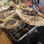 オイスター酒場 稲ちゃん - 