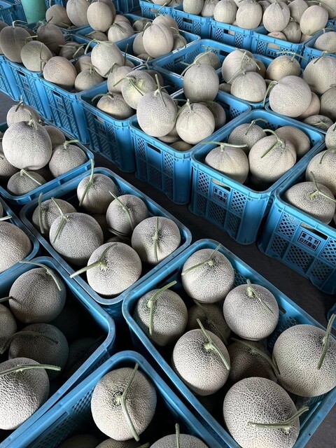 大島農園 - 山部（その他）の写真