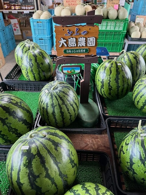 大島農園 - 山部（その他）の写真