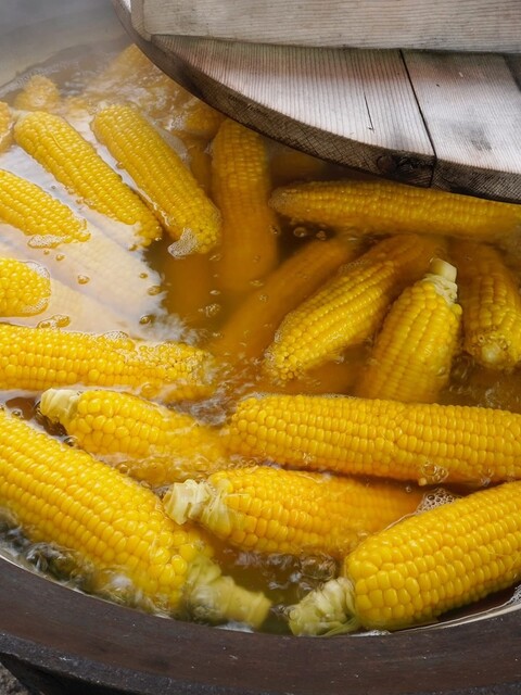 大島農園 - 山部（その他）の写真