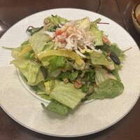 ざくろ TBS店 - 23品目の野菜サラダ