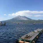 味処 海の桜勘 - 