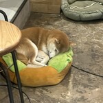 フィッシュ ハウス カフェ - 