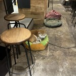 フィッシュ ハウス カフェ - 