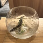 橦木町 しみず - 宮川の鮎