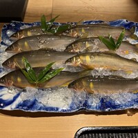 橦木町 しみず - 和良川の鮎