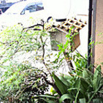 入口付近は和のテイスト