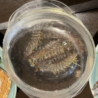 割烹 川田 - 
