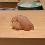 鮨 めい乃 - ボタンエビ