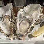 카키고야 이자카야 카키구루이.