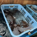 漁港食堂 だいぼ - 入口生簀