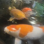 うるいど八幡屋 - 