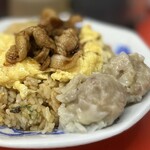 新御茶ノ水 萬龍 - 肉玉炒飯