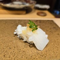 寿司つばさ - 槍烏賊