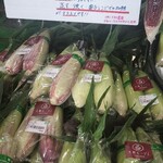 ファーマーズガーデン山形NOW - 