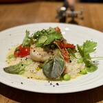 クレメンティア - 