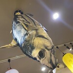  寿司酒場 すし屋の秀ヨシ - 