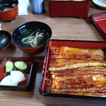 世田谷 宮川 - うな重(松)