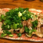 ぱどっくどんぶりや - ねぎタップリ