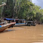 Nha hang sinh chai - 