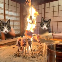 柳家 - 猪