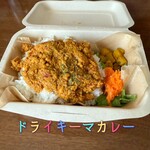 それでもカレーが食べたくて - 