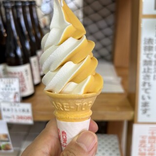 道の駅 しょうわ_0