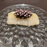 イル アオヤマ - 