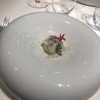 ジョンティ アッシュ - 