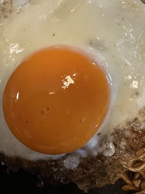 Ichimuan Shinsakae photo 2