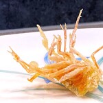 多から - 天然シラサ海老