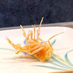 多から - 天然シラサ海老