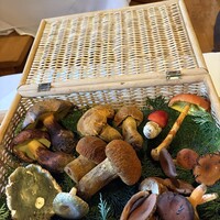 亜絲花 - 