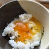 食堂かめっち。
