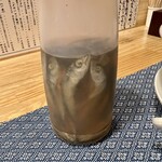 鯖の上にも三年 - 