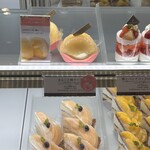 アンテノール - 【ショーケース】