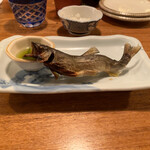 夜ノ焼魚 ちょーちょむすび - 